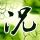 《怪猎：世界》全装备与怪物展示 全新舞台尽情狩猎